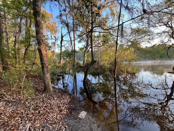 [Naylor Park Beach, Alapaha River @ US 84 2024-03-21]