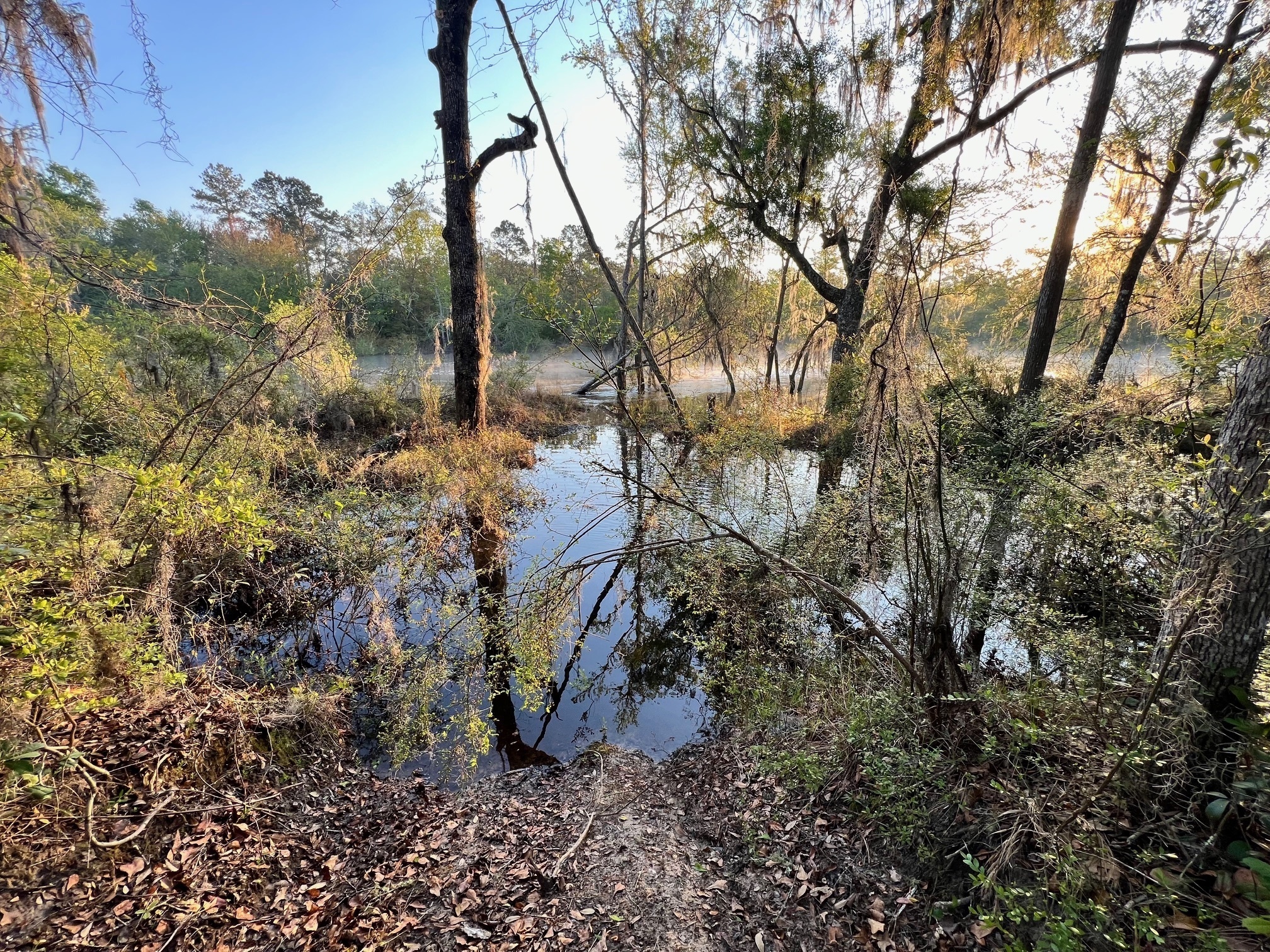 Naylor Park Beach other, Alapaha River @ US 84 2024-03-21