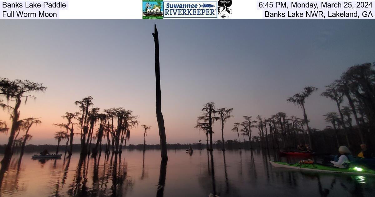 Banks Lake Paddle, 2024-03-25, Full Worm Moon, Banks Lake NWR, Lakeland, GA