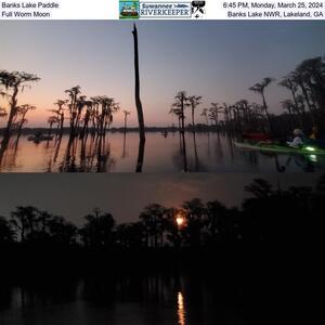 [Banks Lake Paddle, 2024-03-25, Full Worm Moon, Banks Lake NWR, Lakeland, GA]