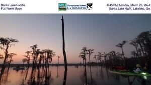 [Banks Lake Paddle, 2024-03-25, Full Worm Moon, Banks Lake NWR, Lakeland, GA]