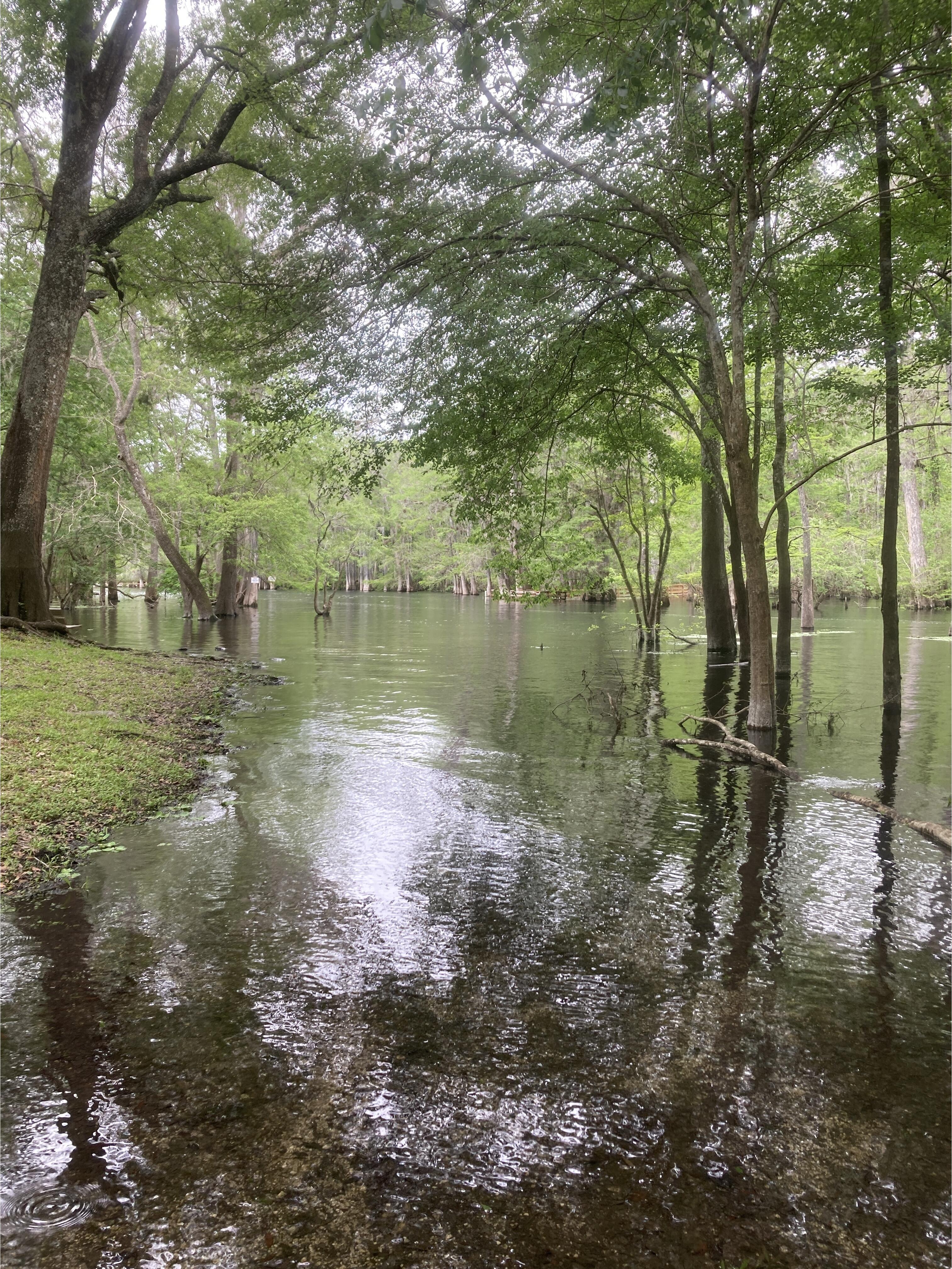 Point Park, Ichetucknee River @ SW Riverside Ave. 2024-03-26