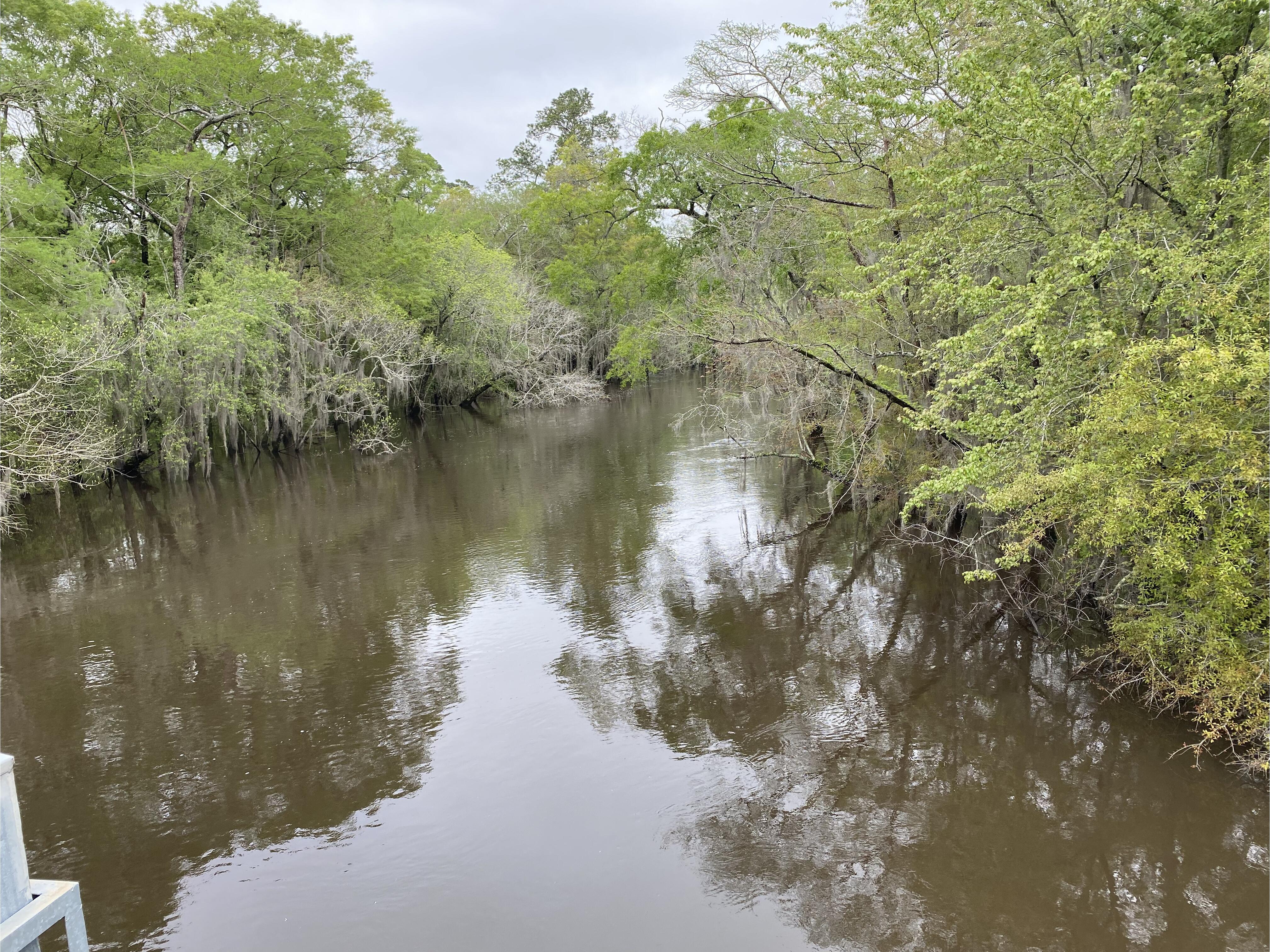 Sheboggy Boat Ramp, Alapaha River @ US 82 2024-03-28