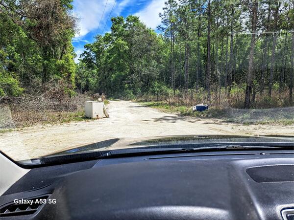 Freezer, Sullivan Launch, Withlacoochee River @ CR 150 2024-03-30