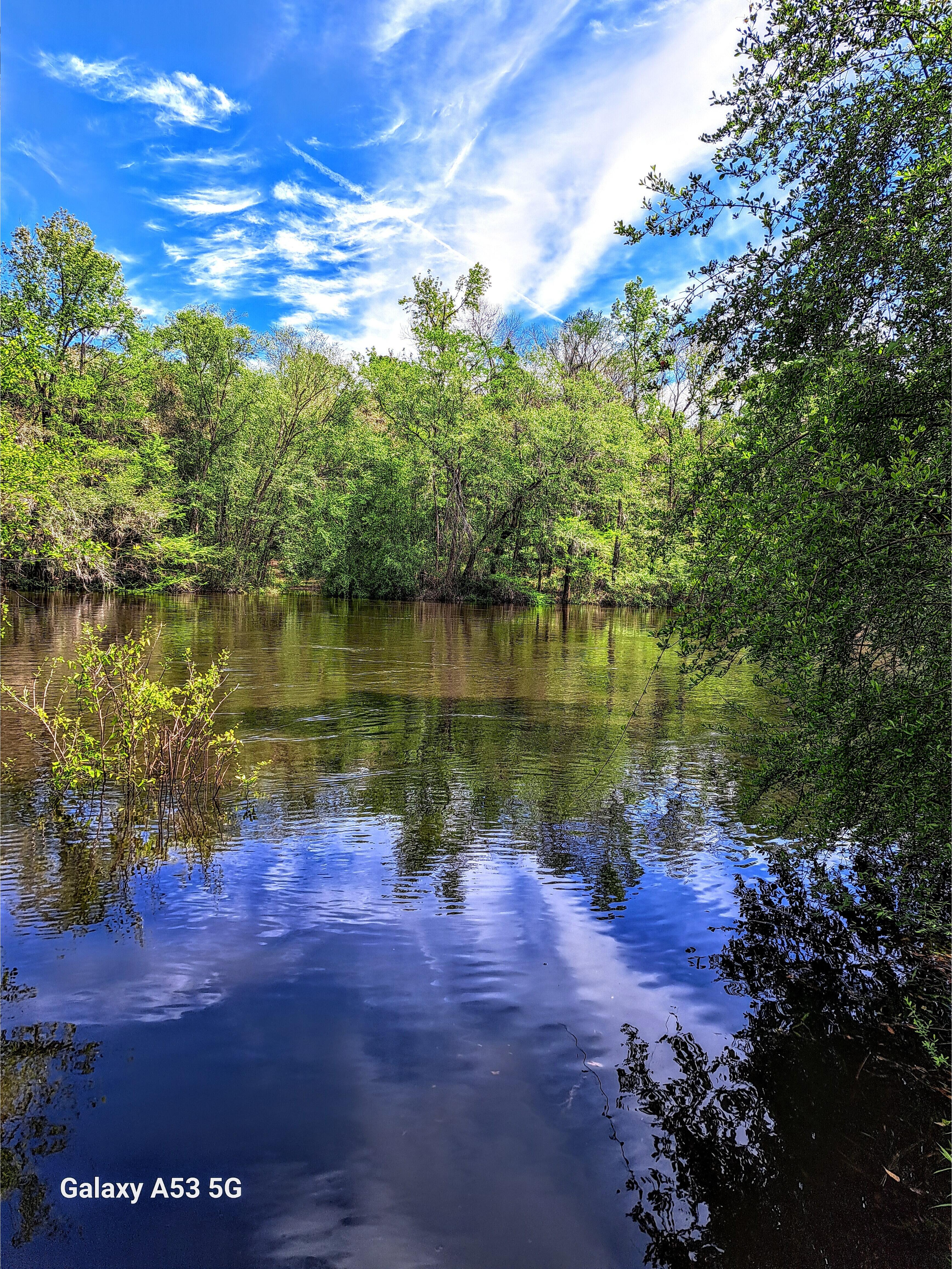 River, Sullivan Launch, Withlacoochee River @ CR 150 2024-03-30