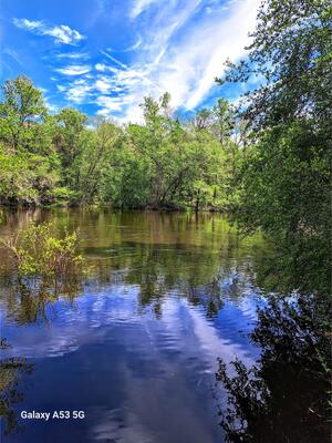 [River, Sullivan Launch, Withlacoochee River @ CR 150 2024-03-30]