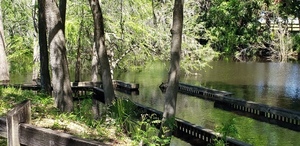 [Underwater, Ivey Memorial Park Ramp, Suwannee River @ US 27 2024-04-04]