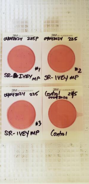 [Plates, Ivey Memorial Park Ramp 2024-04-04]