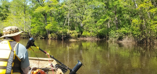 Withlacoochee River Confluence, 15:33:36, 30.8468622, -83.3475052