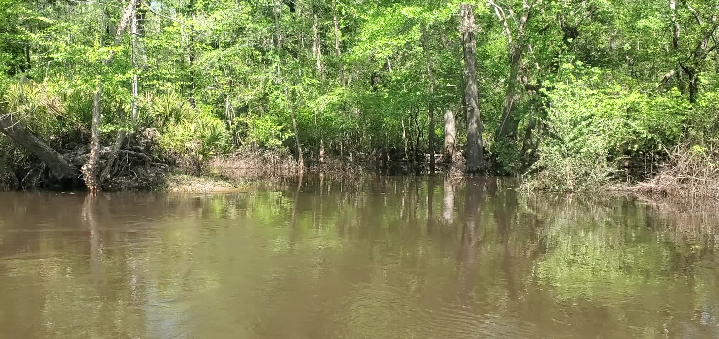 Movie: Little River Confluence sandbar completely underwater, 15:33:36, 30.8468622, -83.3475052 (56M)