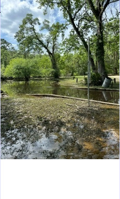 [Langdale Park Boat Ramp underwater (but there's a trash can) --Russell Allen McBride]