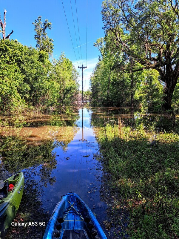 [Power Line, Sugar Creek, 2024-04-13]