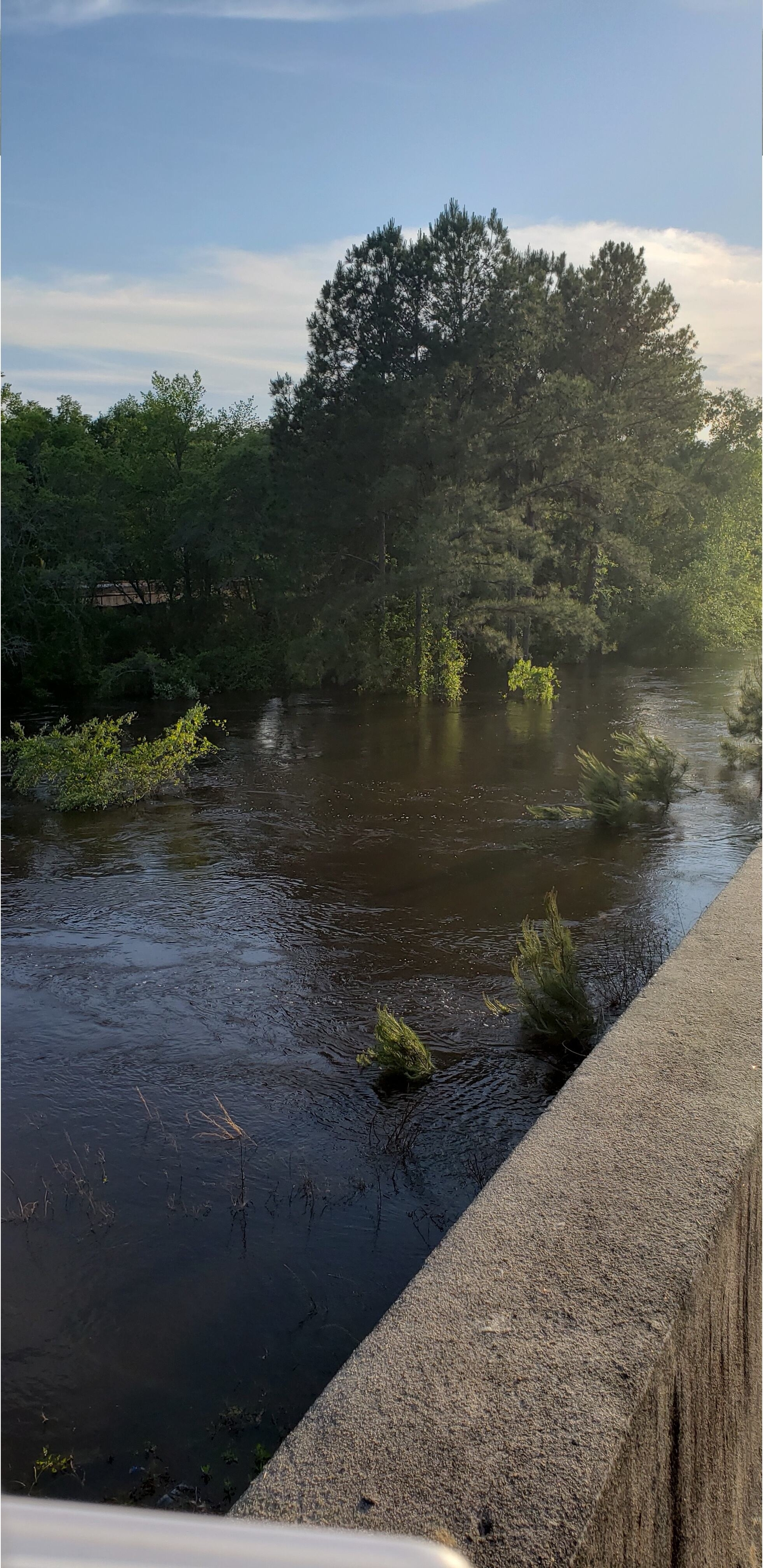 US 84 Bridge, Withlacoochee River, 2024-04-15