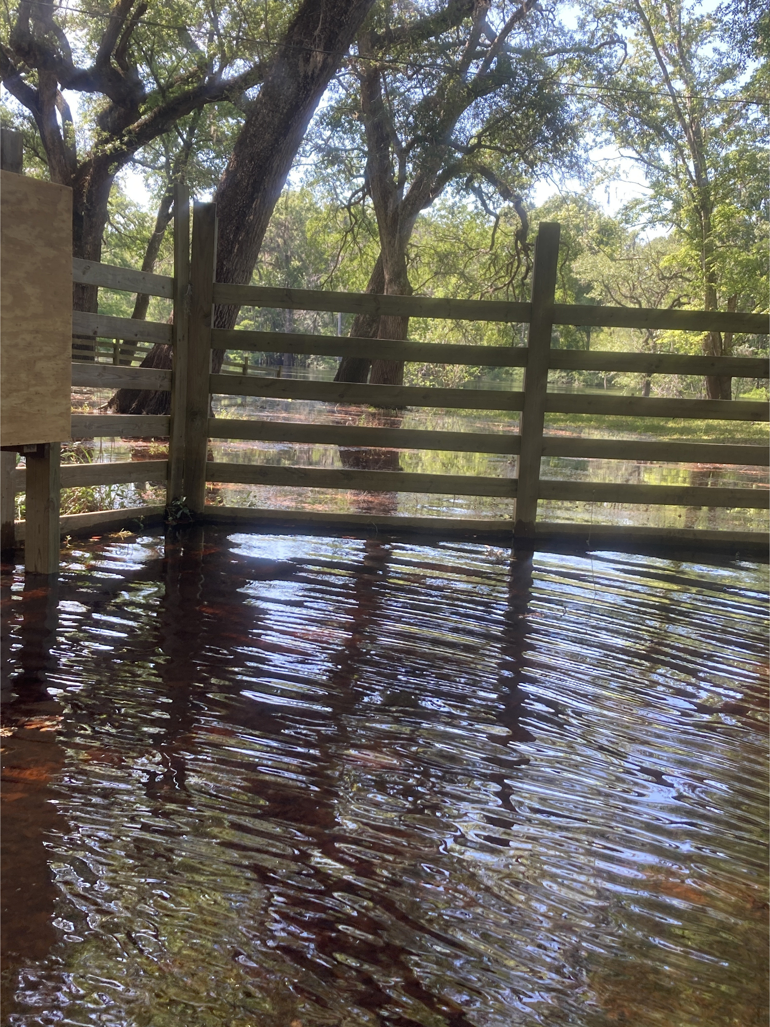 Point Park, Ichetucknee River @ SW Riverside Ave. 2024-04-16