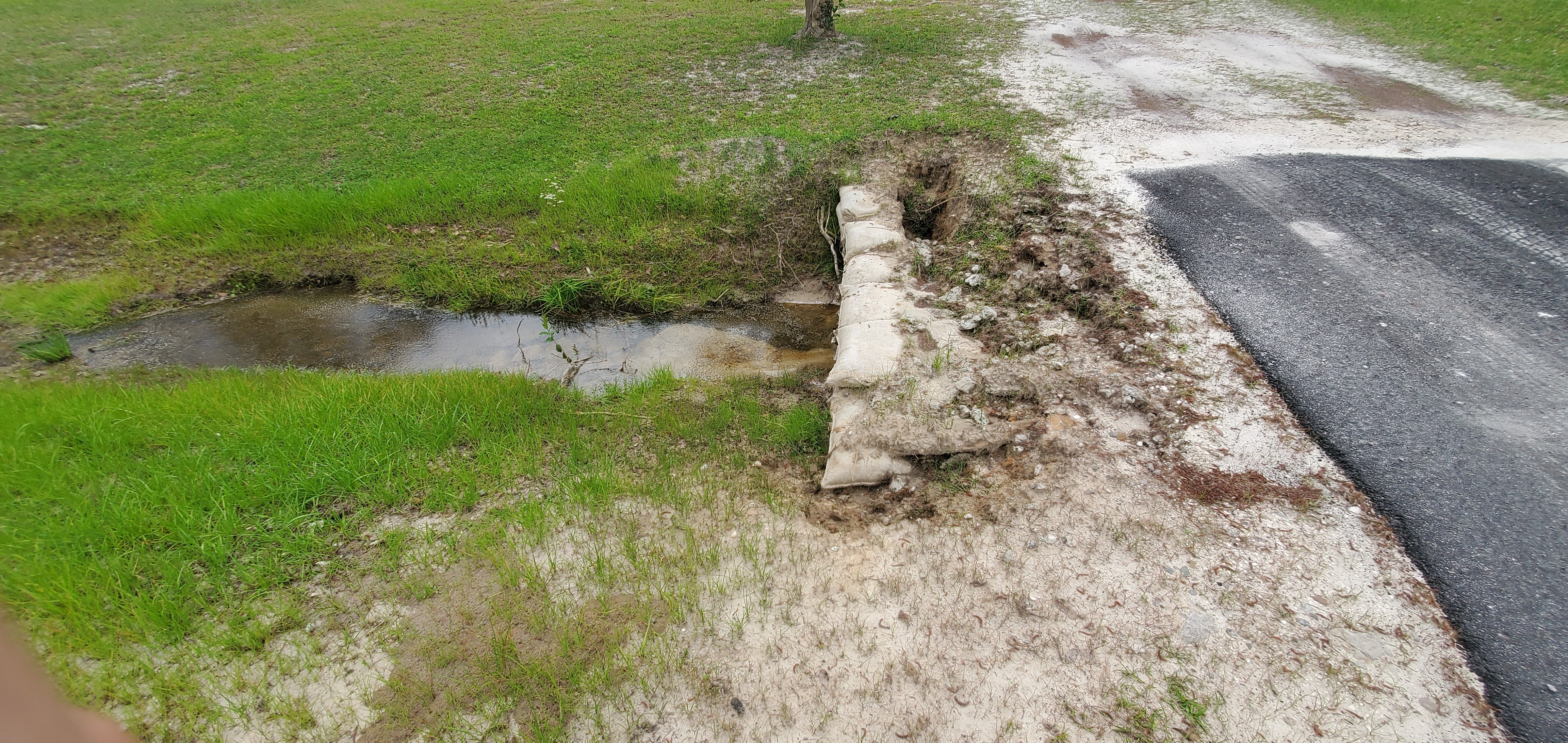 Sideways sandbags, Candleglow Trail, Little River 2024-04-16, 16:02:55, 30.8611193, -83.3634613