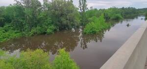 [Movie: Completely underwater, State Line Boat Ramp, Withlacoochee River, 2024-04-16, 14:47:02 (45M), Withlacoochee River, 2024-04-16, 30.6360320, -83.3114090]