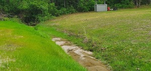 [Drainage ditch from street, Candleglow Trail, Little River 2024-04-16, 16:03:26, 30.8611193, -83.3634613]