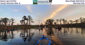 [Banks Lake Full Pink, Moon Paddle 2024-04-23, Sunset, Moonrise, Bats, and Blooming Lilies]