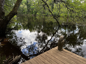 [Holly Point other, Withlacoochee River @ NE Withla Bluffs Way 2024-04-25]