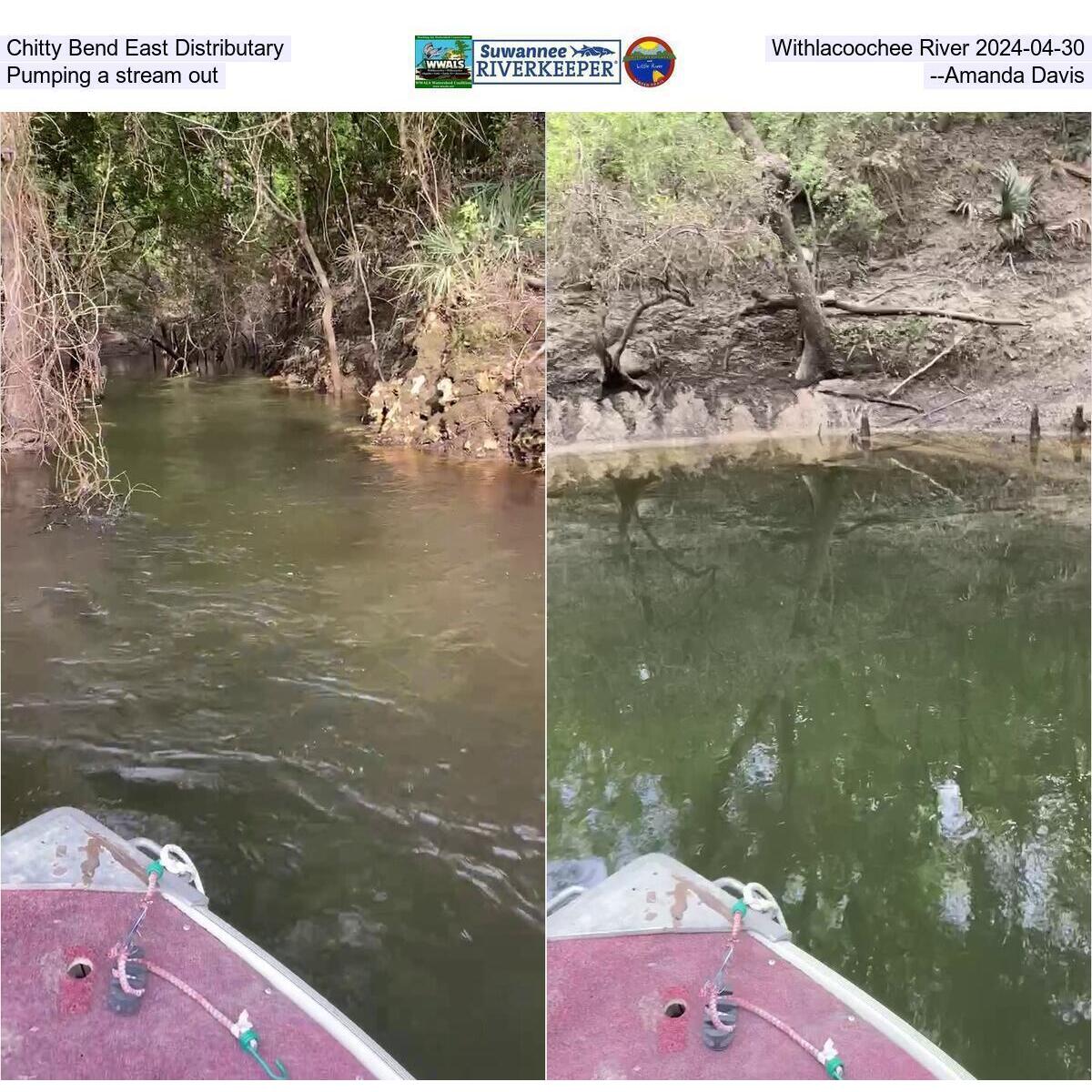 Chitty Bend East Distributary, Withlacoochee River 2024-04-30, Pumping out a stream --Amanda Davis