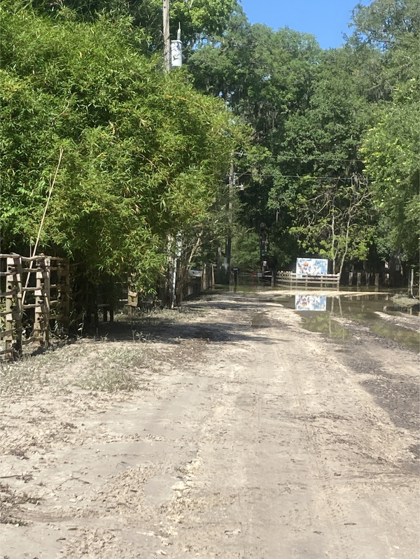 [Cow Creek of the Santa Fe River 2024-05-02]