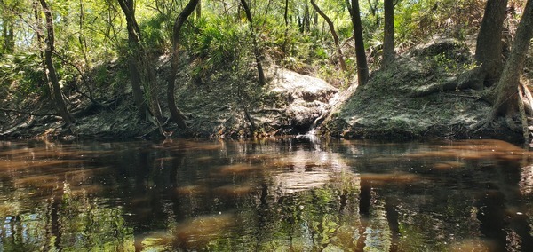 Right bank tiny runoff, 14:55:36, 30.7127212, -83.0324112