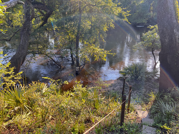 Holly Point other, Withlacoochee River @ NE Withla Bluffs Way 2024-05-15