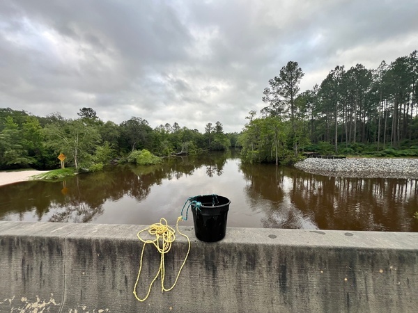 [Downstream, Lakeland Boat Ramp, Alapaha River @ GA 122 2024-05-15]