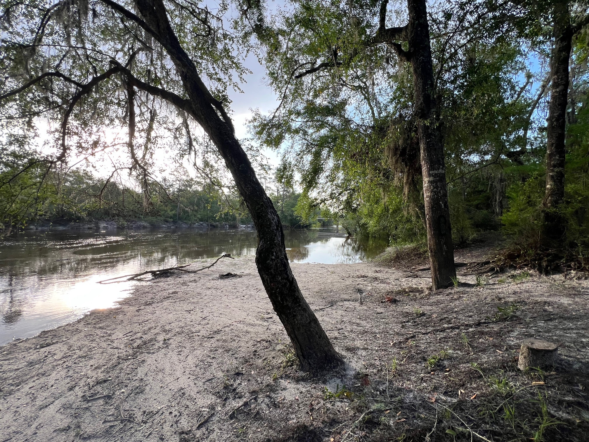 Naylor Park Beach, Alapaha River @ US 84 2024-05-15