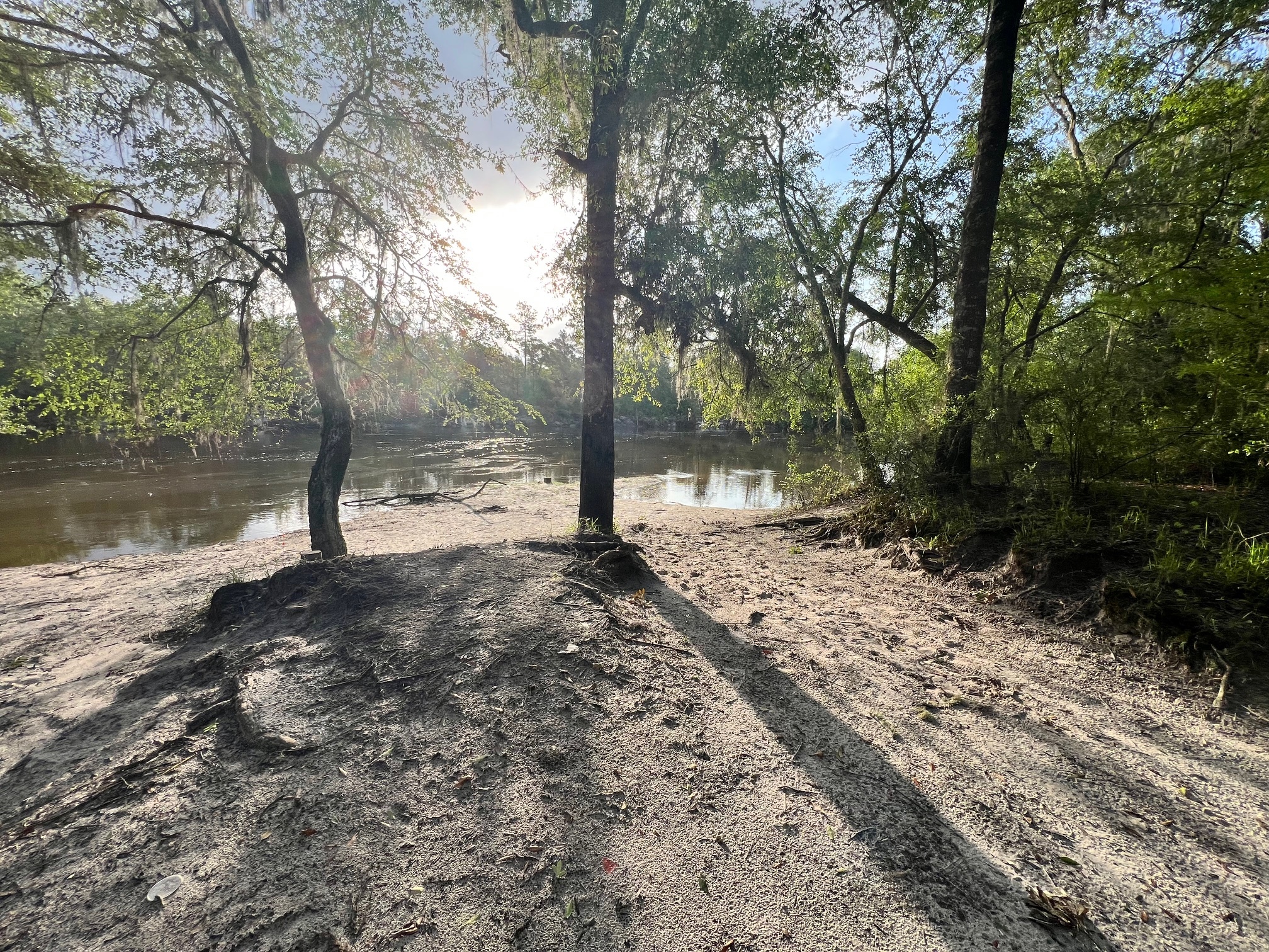 Naylor Park Beach other, Alapaha River @ US 84 2024-05-15