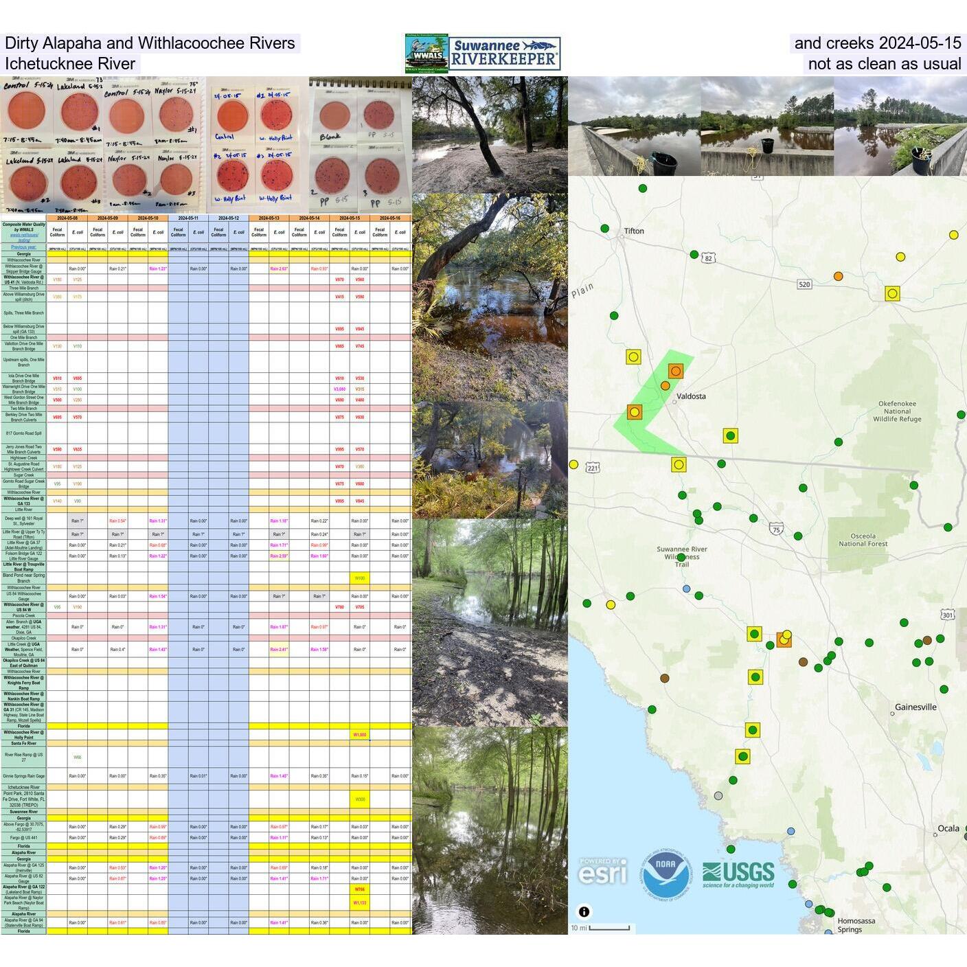 Dirty Alapaha and Withlacoochee Rivers and creeks 2024-05-15; 