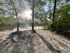 [Naylor Park Beach other, Alapaha River @ US 84 2024-05-15]