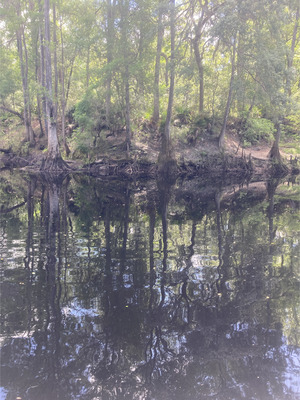 [O'Leno Dock other, Santa Fe River @ O'Leno Park Road 2024-05-22]