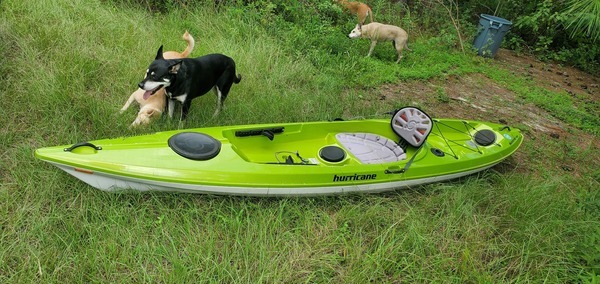 [Kayak with dogs for scale; dogs not included]