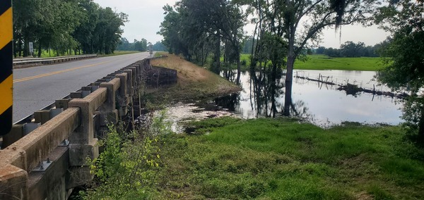 [Upstream Little Alapaha River @ US 41]