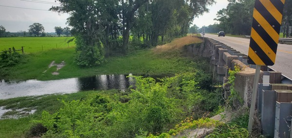 Downstream Little Alapaha River @ US 41