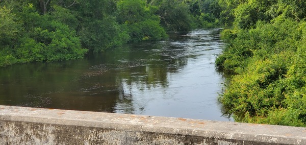 [Upstream Alapaha River @ US 41]