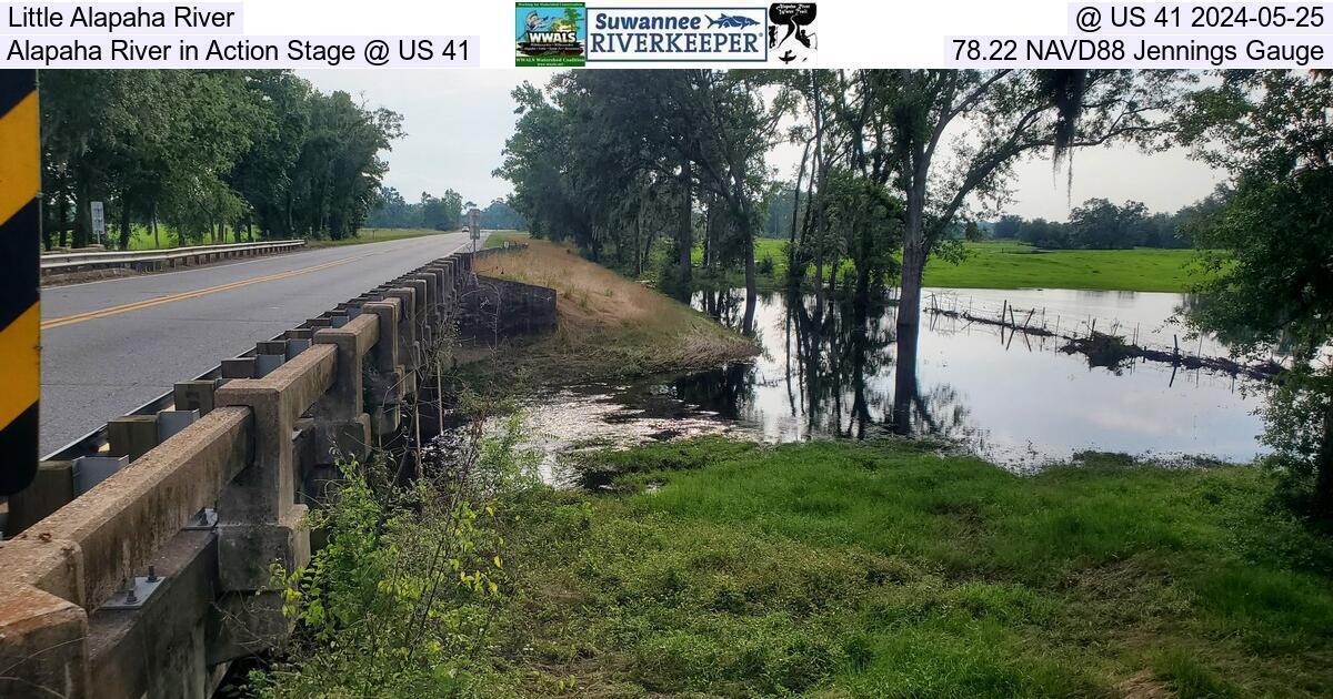 Little Alapaha River, @ US 41 2024-05-25, Alapaha River in Action Stage @ US 41, 78.22 NAVD88 Jennings Gauge