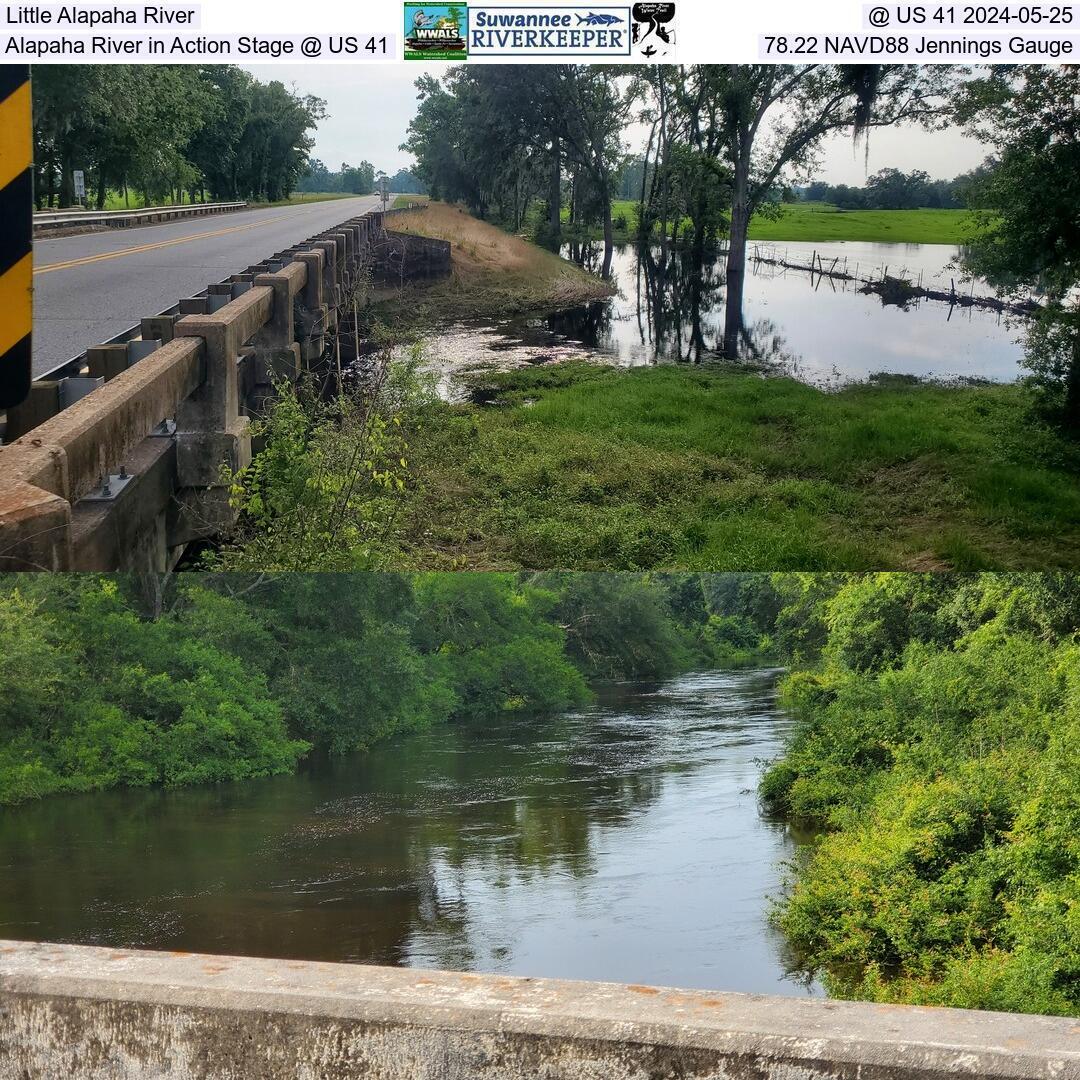 Little Alapaha River, @ US 41 2024-05-25, Alapaha River in Action Stage @ US 41, 78.22 NAVD88 Jennings Gauge