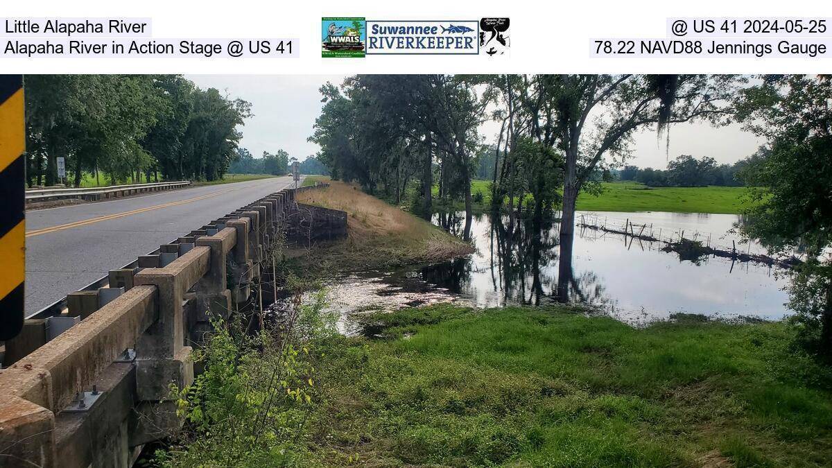 Little Alapaha River, @ US 41 2024-05-25, Alapaha River in Action Stage @ US 41, 78.22 NAVD88 Jennings Gauge