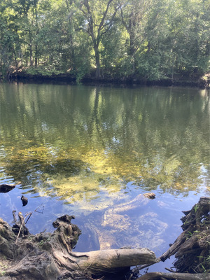 [Other, Eddins Ramp, Santa Fe River 2024-05-30]