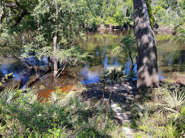 [Holly Point, Withlacoochee River @ NE Withla Bluffs Way 2024-06-05]