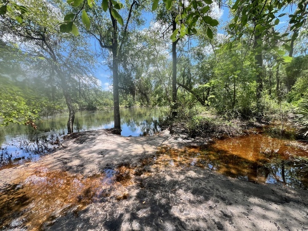 [Naylor Park Beach, Alapaha River @ US 84 2024-06-06]