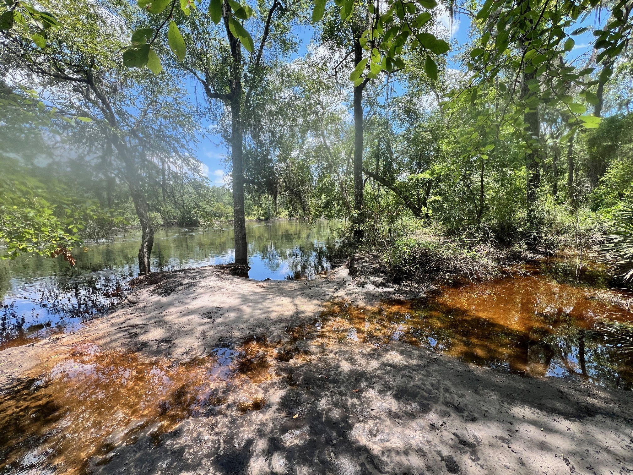 Naylor Park Beach, Alapaha River @ US 84 2024-06-06