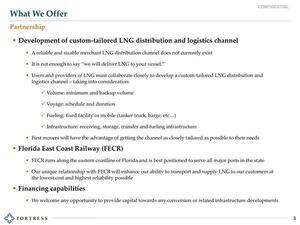 [What We Offer: Partnership, Development of custom-tailored LNG distribution and logistics channel, FECR, Financing capabilities]