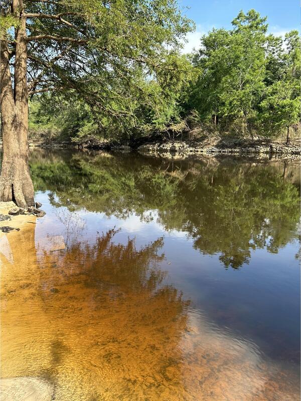 [State Line Boat Ramp, Withlacoochee River @ Madison Highway 2024-06-11]