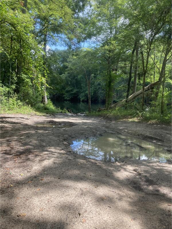 [Eddins Ramp, Santa Fe River @ NE 70th Street 2024-06-13]