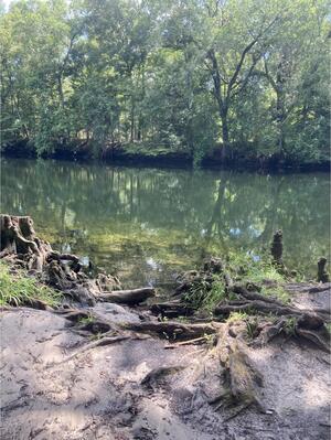 [Eddins Ramp other, Santa Fe River @ NE 70th Street 2024-06-13]