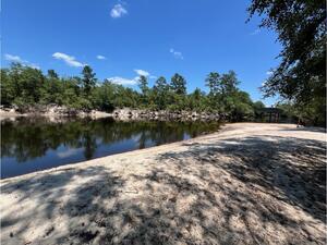 [Naylor Park Beach other, Alapaha River @ US 84 2024-06-13]