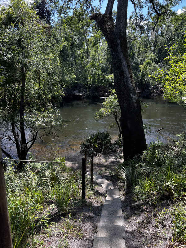 [Holly Point, Withlacoochee River 2024-06-19]